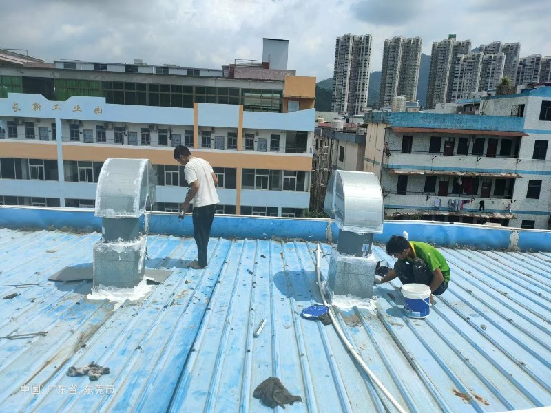 灵宝钢结构屋面涂料维修方法