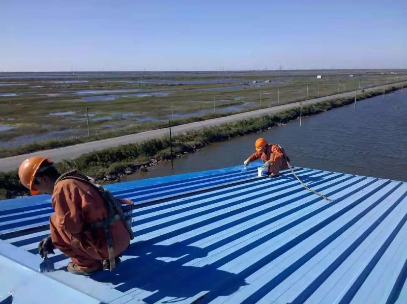 灵宝彩钢瓦屋面防腐翻新